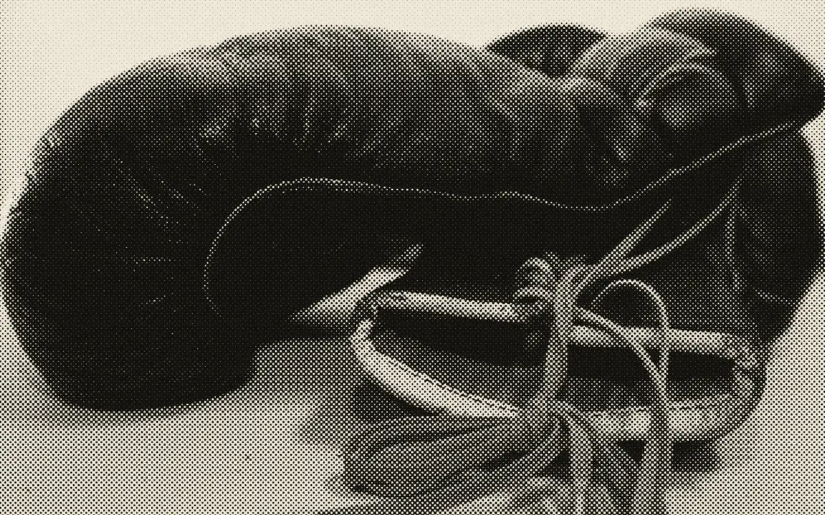 Paire de vieux gants de boxe en cuir noir, lacets défaits