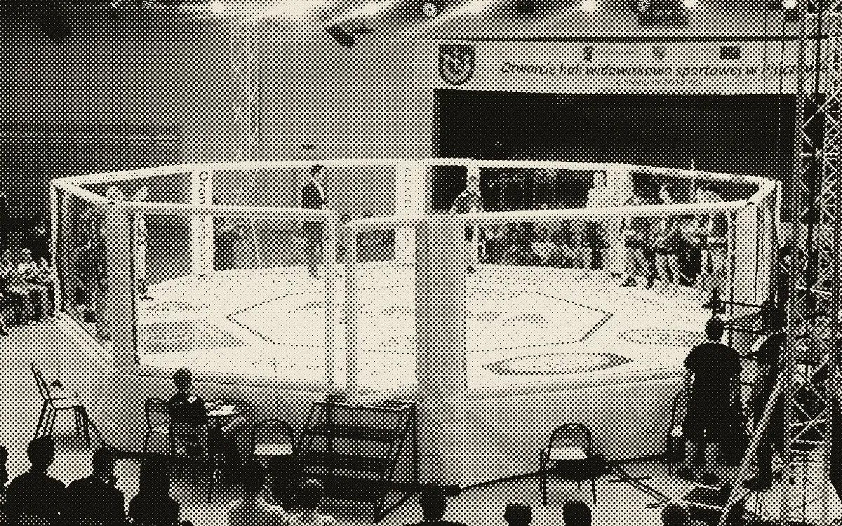 Cage octogonale de MMA dans une salle de compétition, public autour
